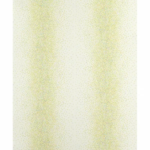 Рулон обоев ARC EN CIEL CFT25557227. Основа