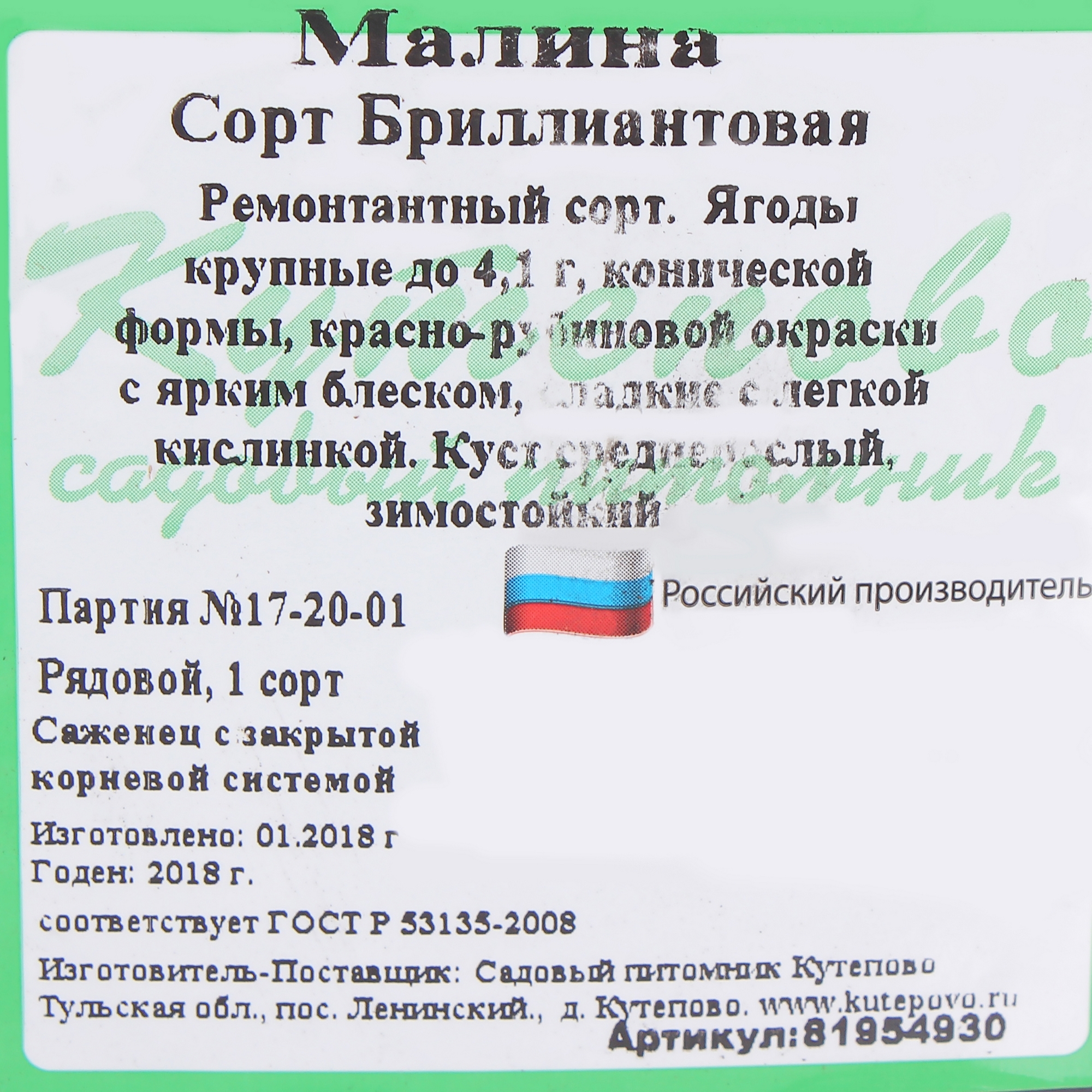 Саженец малины Бриллиантовая С2 h40 81954930 Santreyd STLM-0015227 - Вид №1