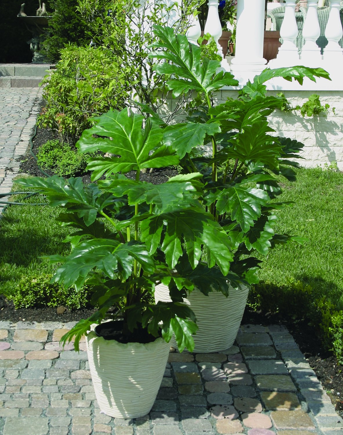 5650 883 a3 Искусственный акант, горшечный, 120 см, зеленый H-andreas  - Вид №1