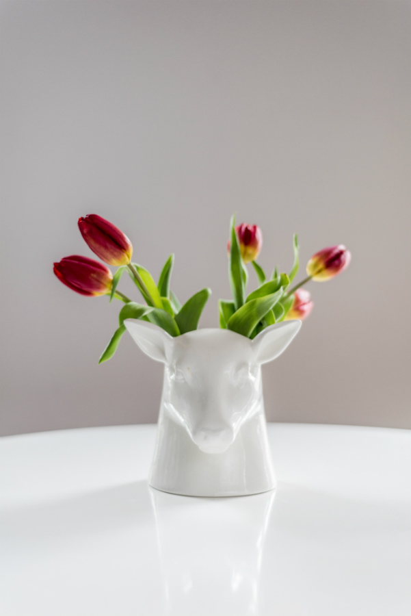 SK POTSTAG1 Органайзер для хранения Suck UK  - Вид №1