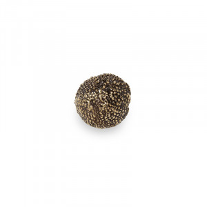 EA1019 Maple PULLCAST Earth Collection
