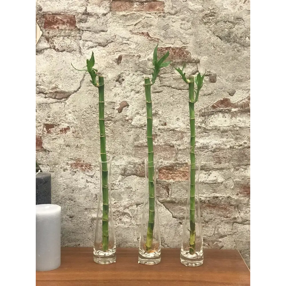 Santreyd - Стеклянная ваза с косым срезом для цветочных композиций 82223420 STLM-0022300 - Вид №4