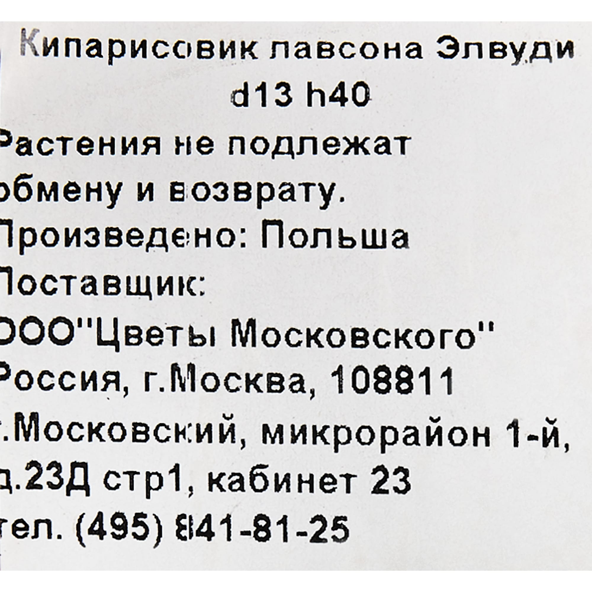 82621041 Кипарисовик Лавсона «Элвуди» 13x40 см Santreyd  - Вид №1