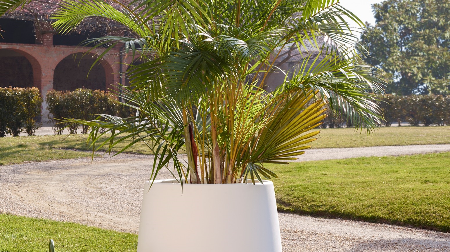 Табби Magis sun-id-1328963 - Вид №5