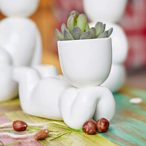 1003 Набор для выращивания eco мечтатель Экочеловеки