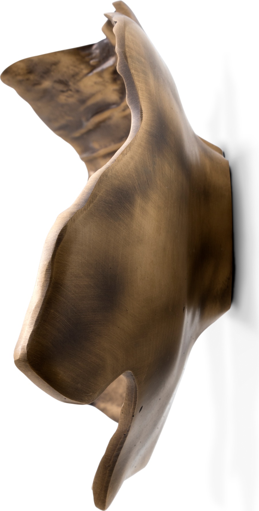 EA1053 PullCast Дверные тяги LEAF Полированная латунь  - Вид №3