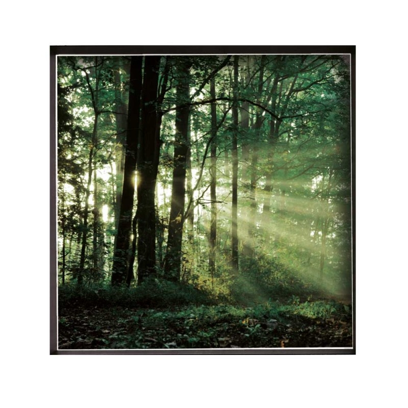 F124CX68 Vip фоторамка Murales или Pictures Adriani e Rossi матовый черный  - Вид №1