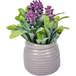 Мята Мохито Минце 1.5 л h15 см 82219521 STLM-2203024