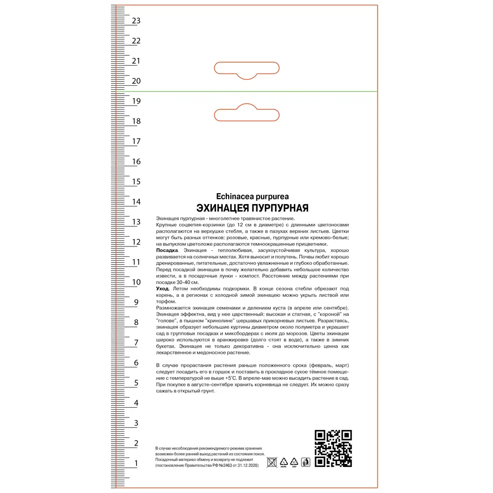 Эхинацея пурпурная Магнус Супериор 89452315 STLM-2031937 ПОИСК 