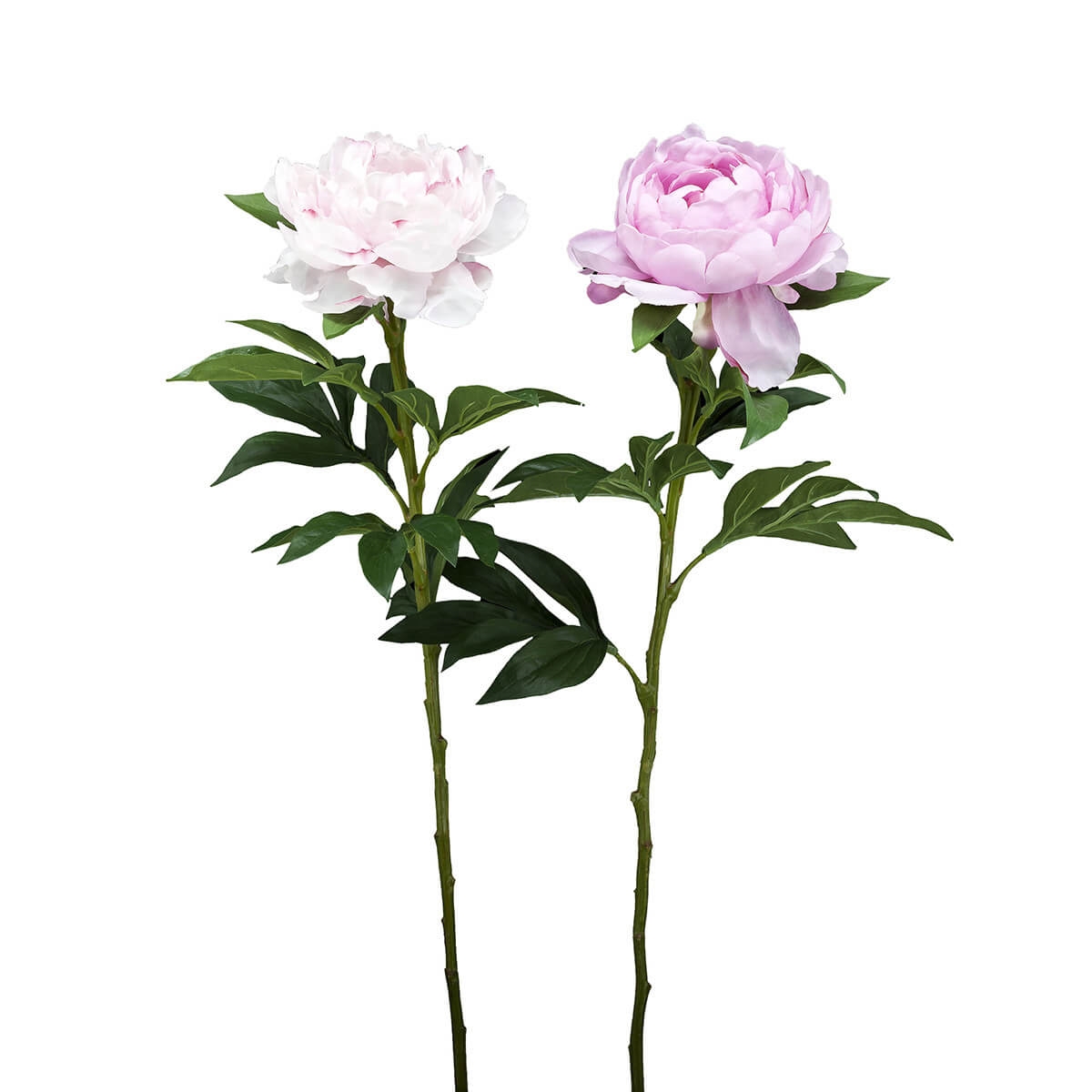 210303,5 ABHIKA PEONY STEM ASS2COL PINK 210303.5