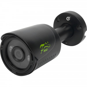 82466450 Камера уличная FX-C20F-IR, 2 Мп