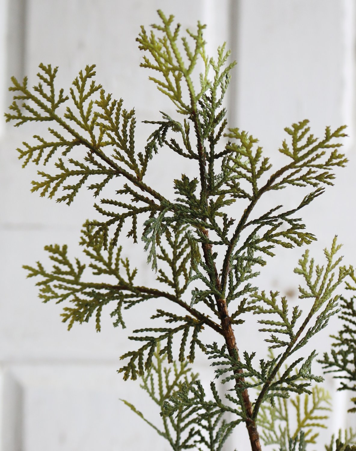 1451 883 a3 Искусственный кедр, 4-х компонентный, 84 см, зеленый H-andreas 