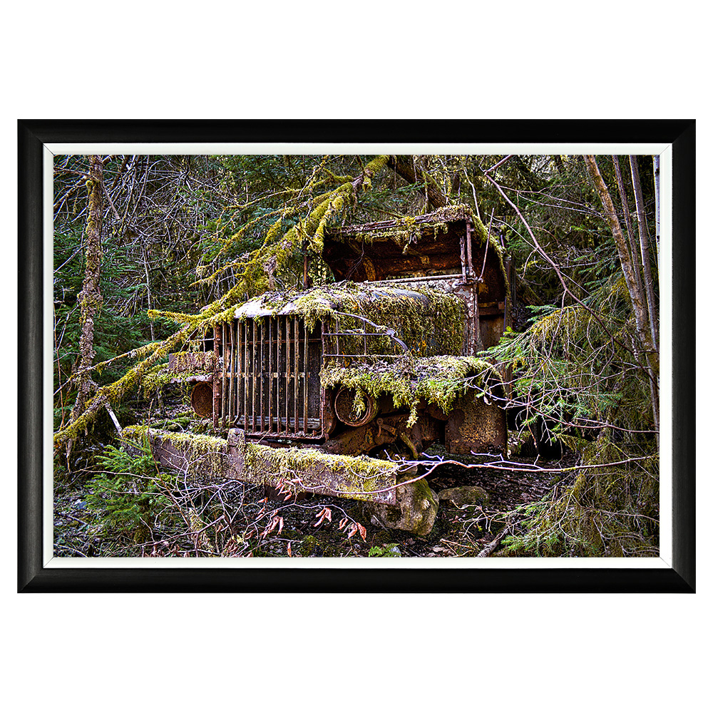 896519146_1818 Арт-постер «В плену зарослей» Object Desire 