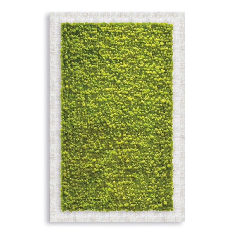 VQU007/1 Рамка для фото Pialla Lichen Adriani e Rossi  - Вид №1