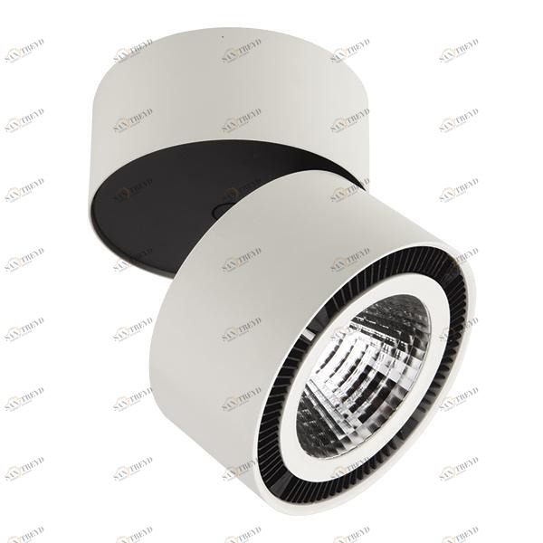 Потолочный светодиодный светильник Lightstar Forte Muro 214850 LIGHTSTAR FORTE MURO 118699 Белый 
