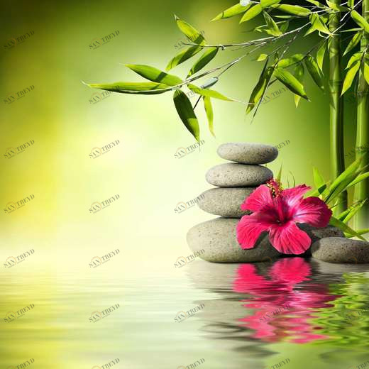 WP00216 Фотообои Verol Фотообои decoline 1х1 м