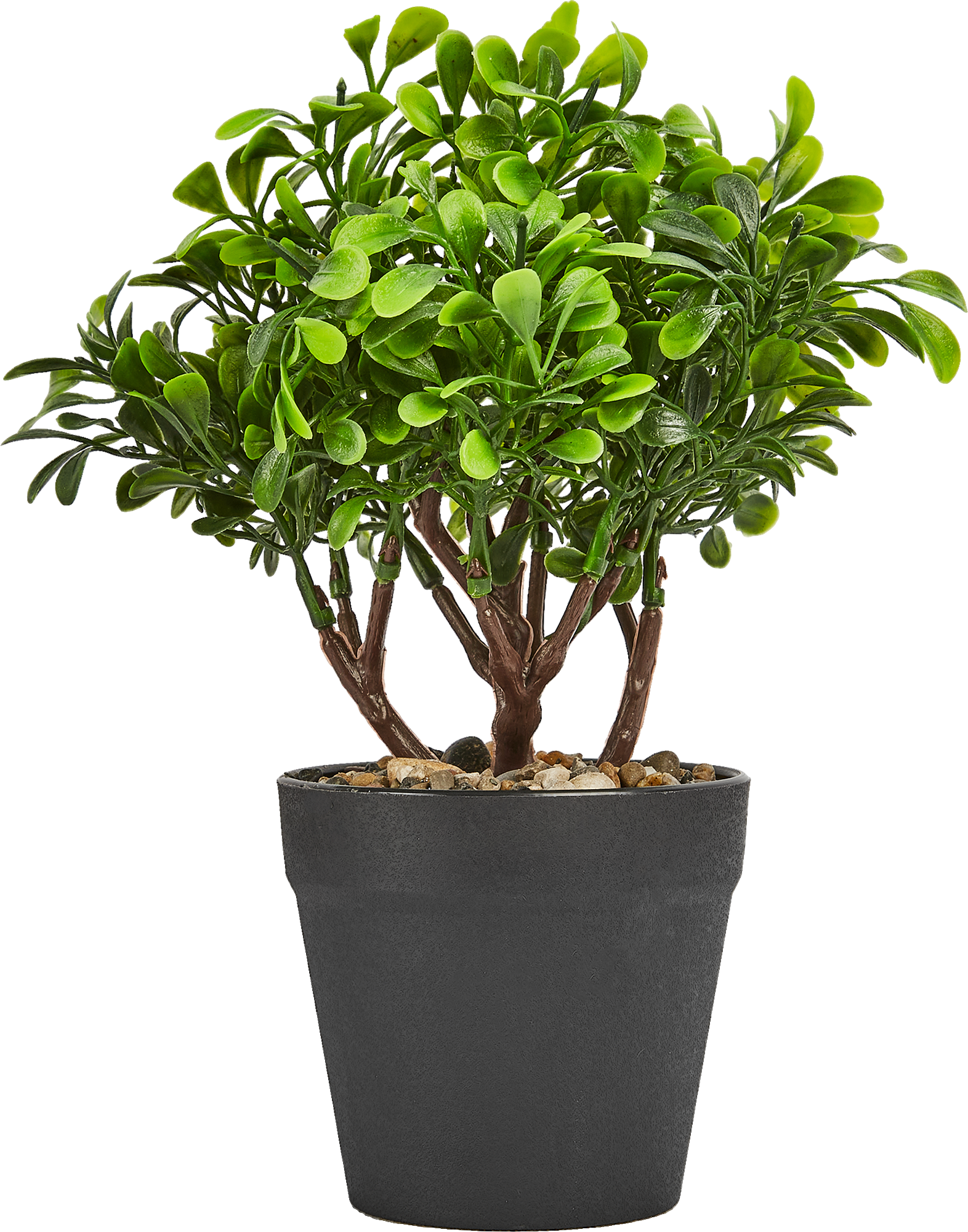 85852577 Искусственное растение крассула h22 см ПВХ разноцветный STLM-0065639 Santreyd  - Вид №3