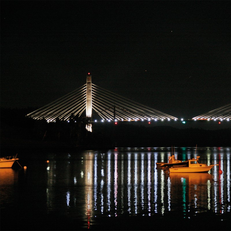 1231/CX38 Картина 1231 Adriani e Rossi 