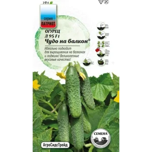 Семена овощей Агросидстрейд Патриот огурец Чудо на балкон F1