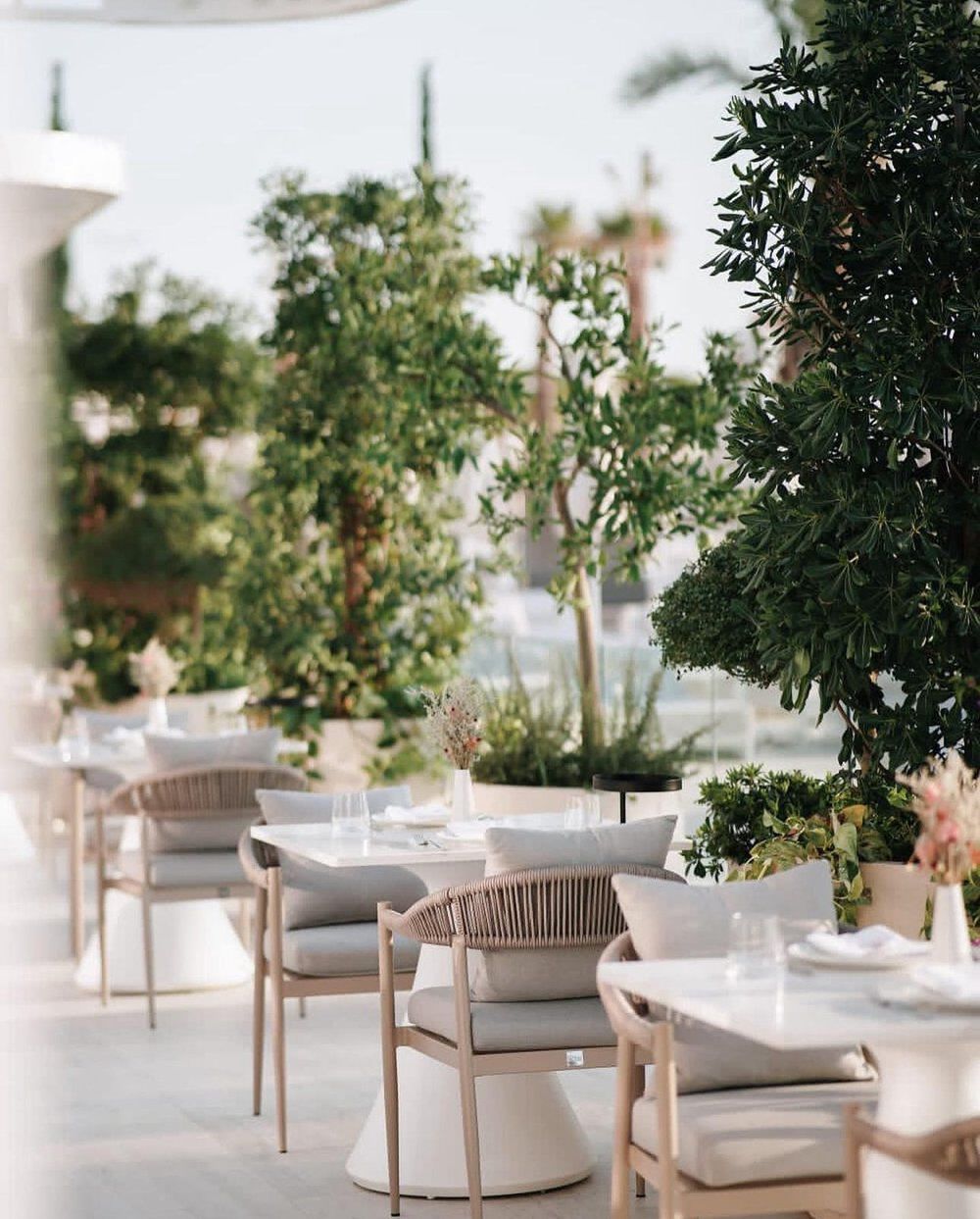 Алюминиевый садовый стул с подлокотниками ABLE MIRANDA ARCH-00071581 - Вид №2