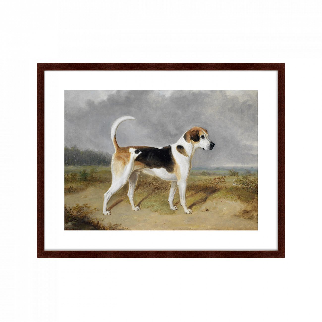 Картина: Portrait of a Foxhound, 1780г. КАРТИНЫ В КВАРТИРУ  264192 Разноцветный  - Вид №1