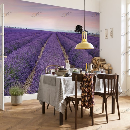 XXL4-036-Provence Фотообои Komar Imagine Edition 2 2.48х3.68 м XXL4036PROVENCE