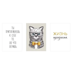 Постер Арт дизайн Коту Очевидно 39x49 см 3 шт.