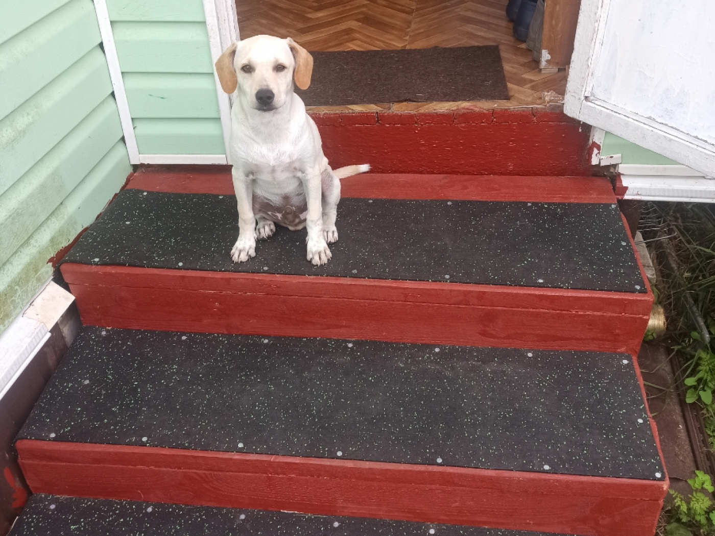 9.3.4AS.Bg Противоскользящие накладки на ступени Alegria step и Alegria step waterproof  - Вид №1