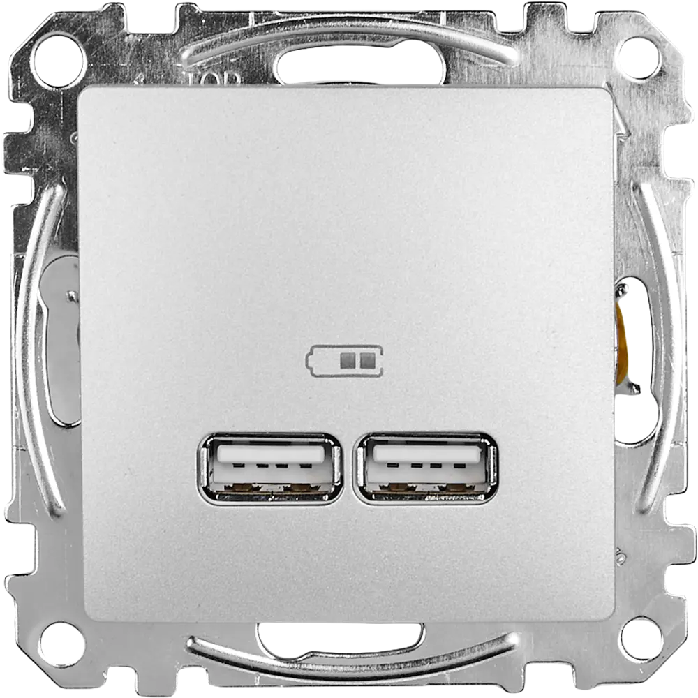 Розетка USB встраиваемая Systeme Electric Sedna, цвет алюминий 82677562 STLM-2094467