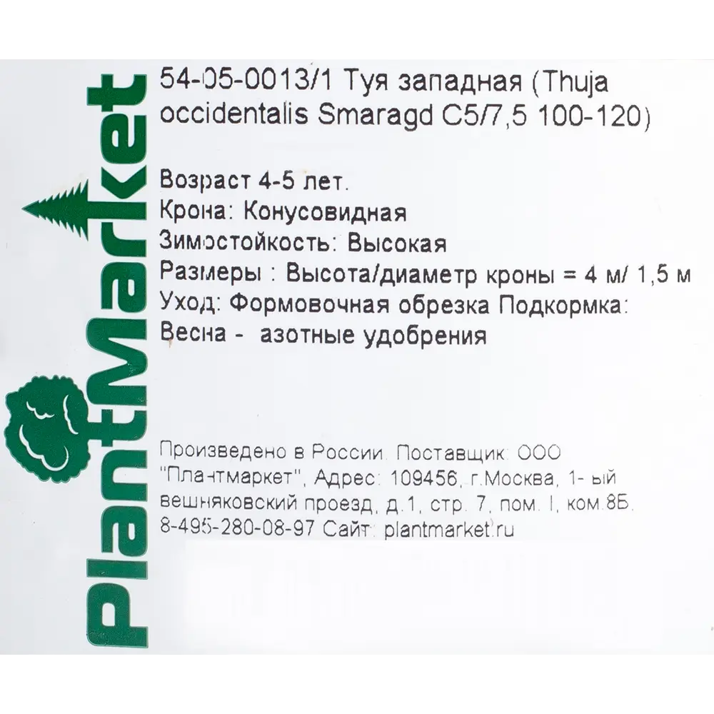 Туя западная «Смарагд» С5, 100-120 см 81969347 STLM-2192410 PLANTMARKET  - Вид №1