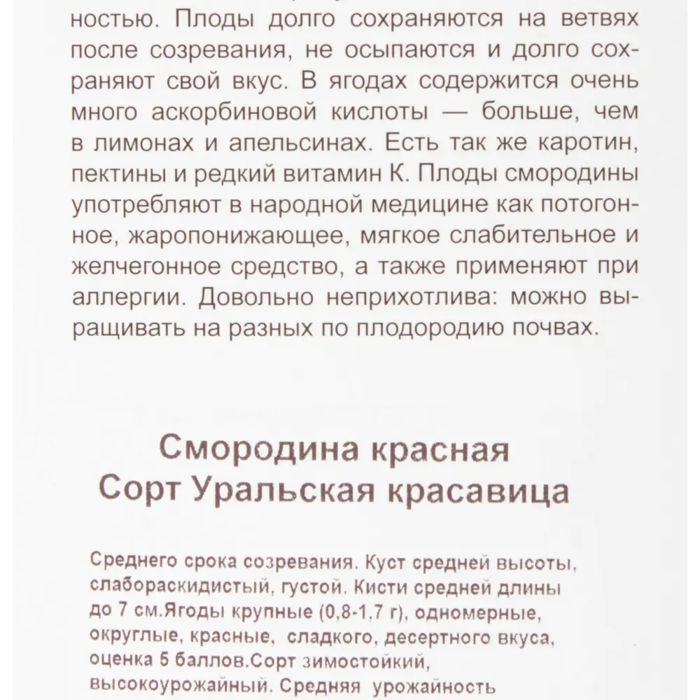 Смородина красная «Уральская Красавица» 81951329 STLM-2203312 Santreyd  - Вид №3