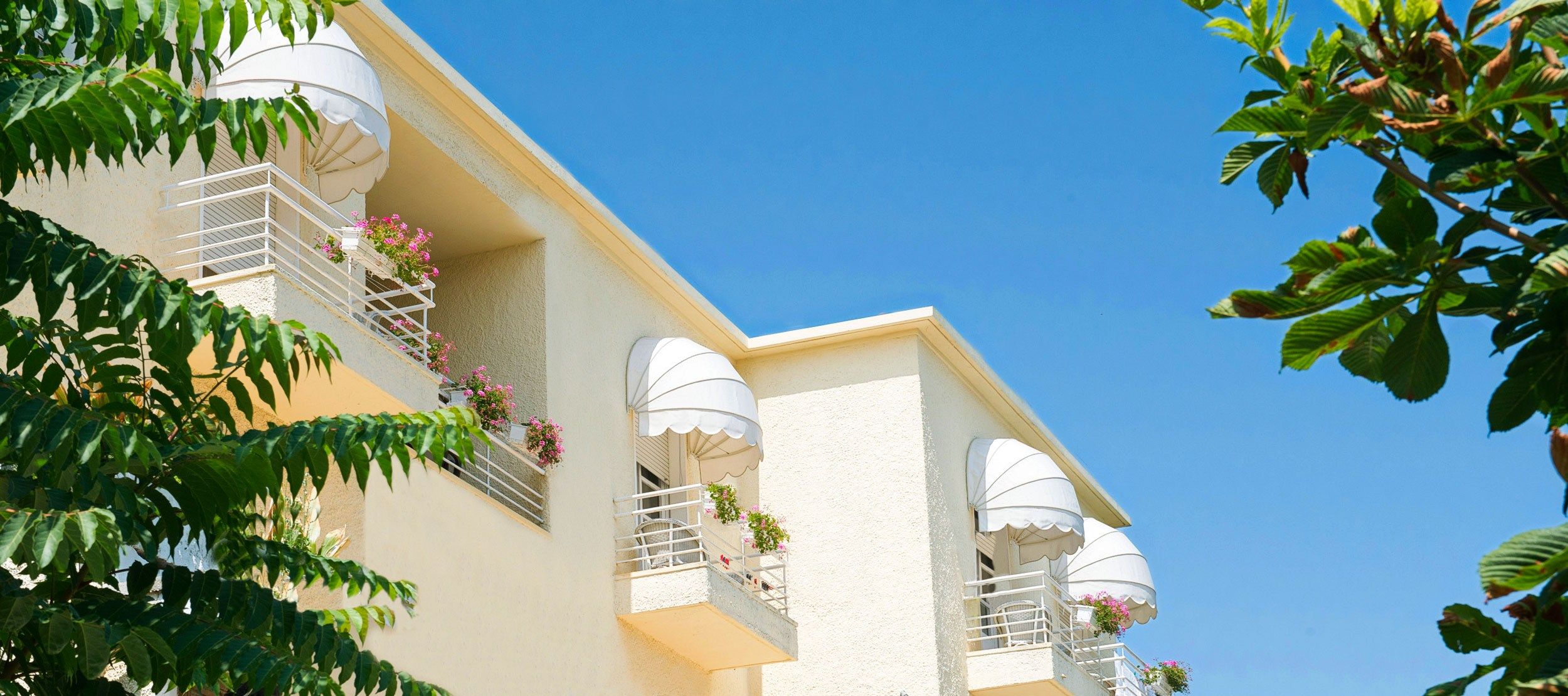 Одиночная палатка с алюминиевой рамой Mv Line фиксированные и подвижные капоты ARCH-00026637 - Вид №2