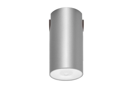 DST-93 Lens watertight ceiling-mounted Daisalux Светильники аварийные Серебристо-Серый 