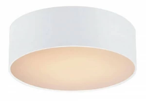 Потолочный светильник Favourite Cerchi 1515-2C1 FAVOURITE CERCHI 082442 Белый