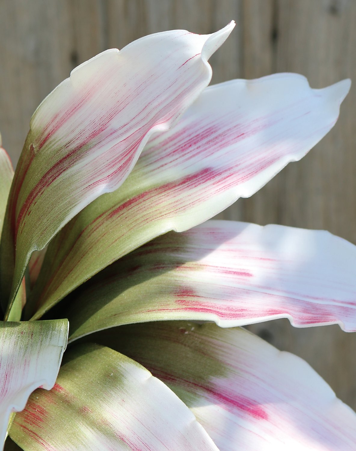 Искусственный мягкий цветок агавы, 90 см, розово-зеленый Santreyd 7955 508 a3 - Вид №1