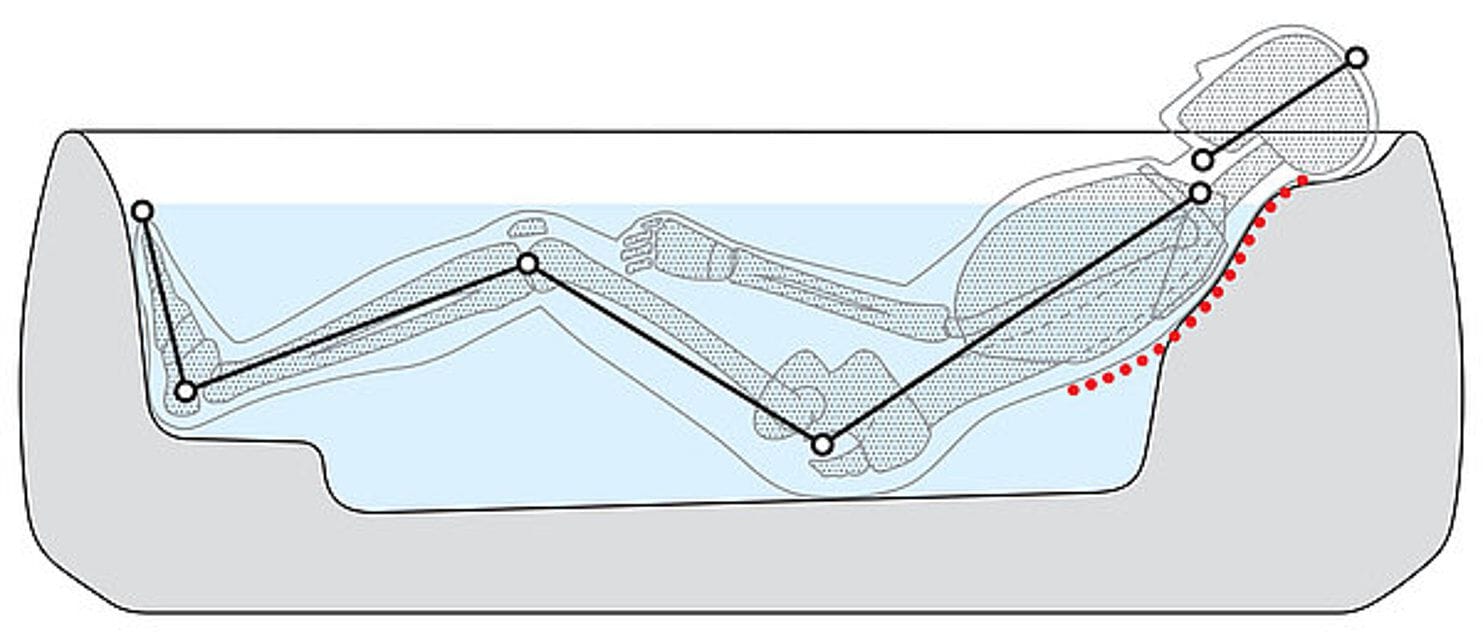 Овальная ванна в центре комнаты TOTO FLOATING ARCH-00002870 - Вид №5