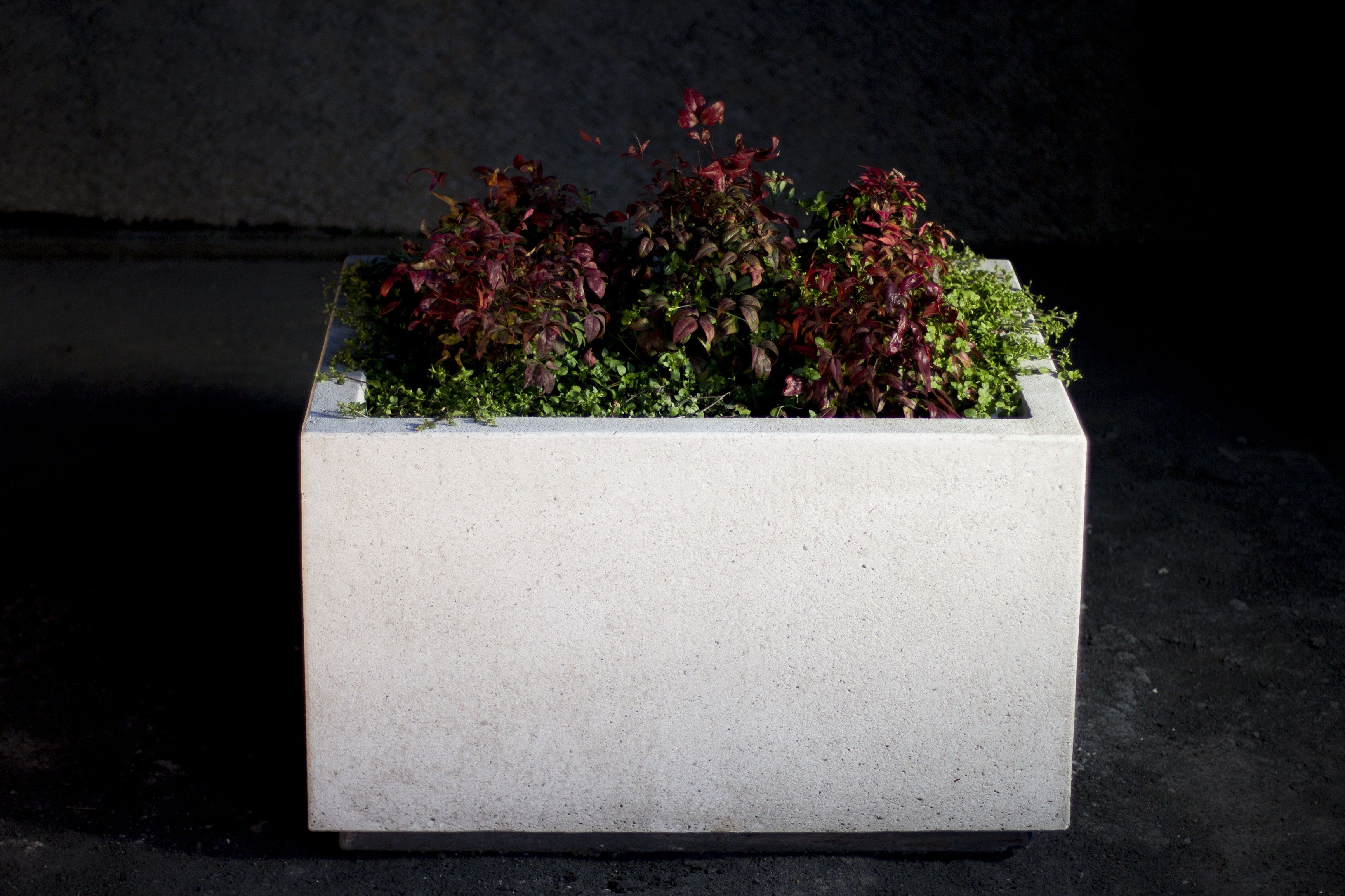 Вазон Bellitalia гостиная ARCH-00149700 - Вид №2