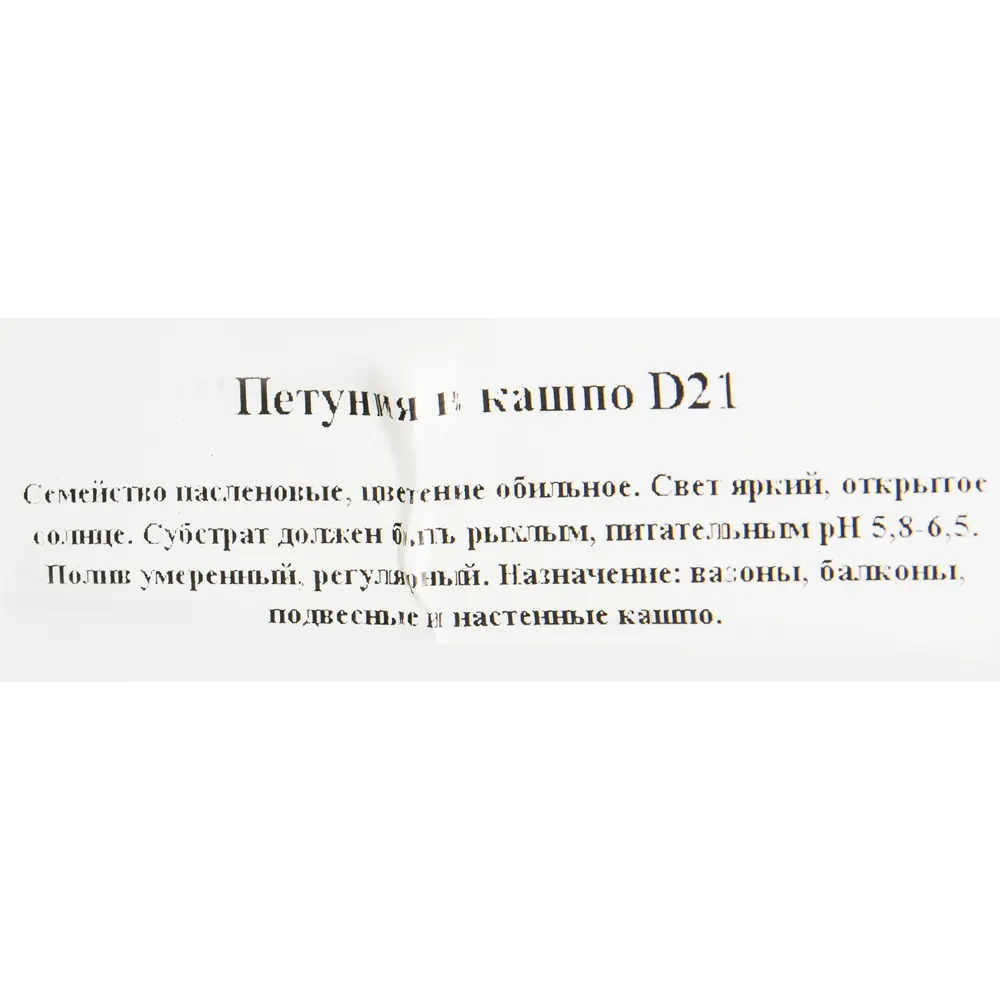 Santreyd Петуния ампельная для кашпо и сада 82649996 STLM-0032835 - Вид №1