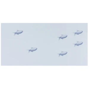 Декор Марис «Рыбки» 30х60 см цвет белый