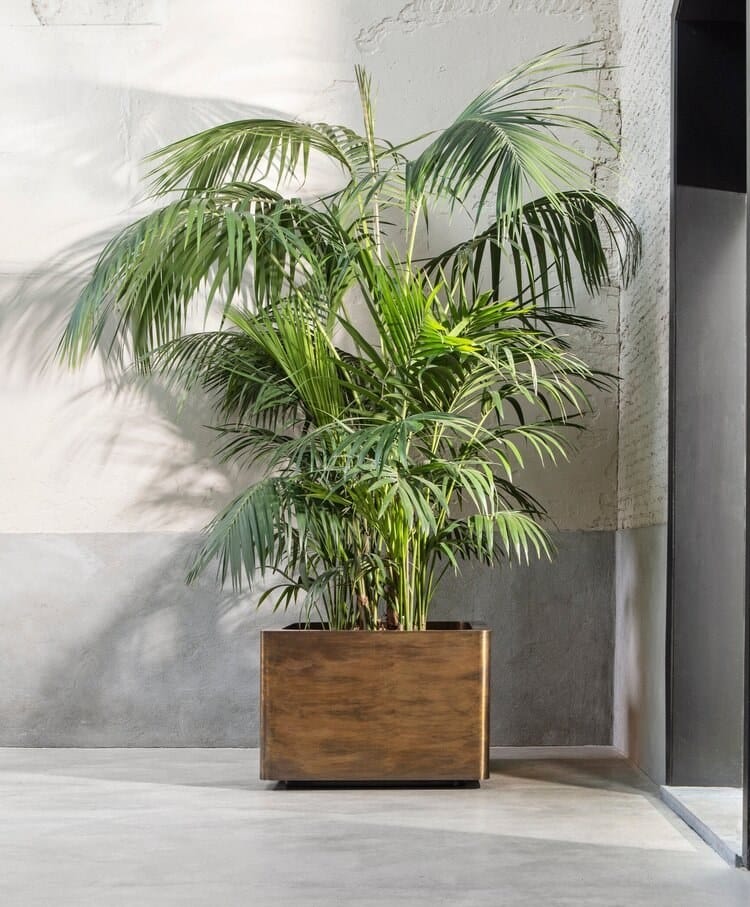 Квадратная латунная плантатор Royal Botania Купрум ARCH-00091093 - Вид №2