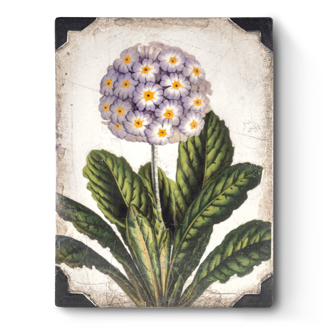 T-460 Плитка-панно 15/20/3 гипс, ручная работа SID DICKENS Santreyd 