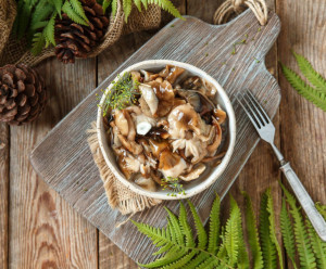 4583 Опята соленые "Премиум" Вкусляндия