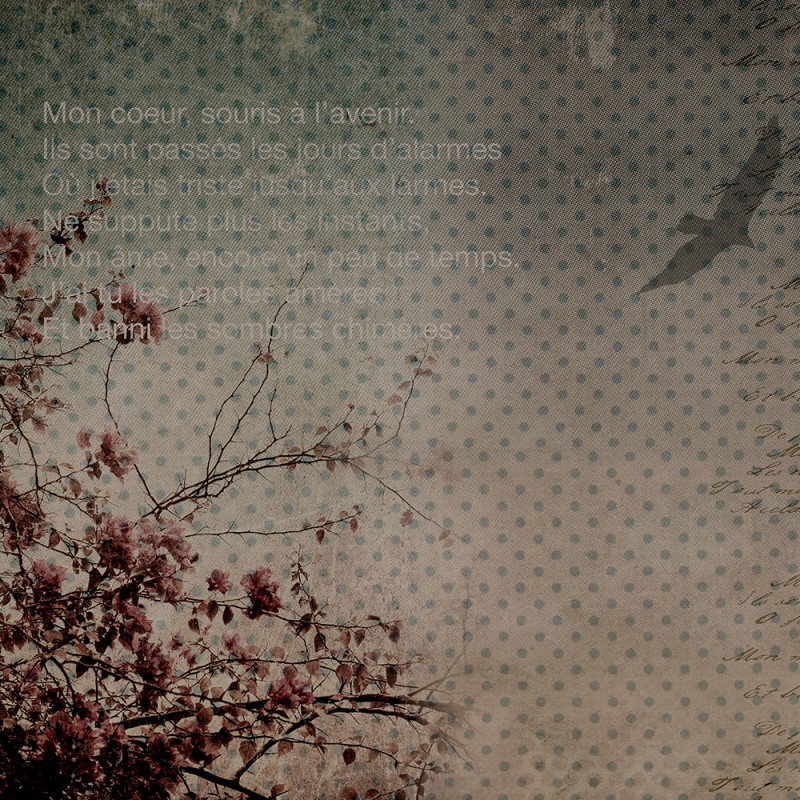 1133/CX38 Картина 1702 Adriani e Rossi 