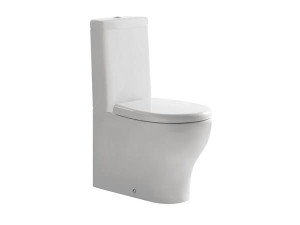 Керамический цельный туалет