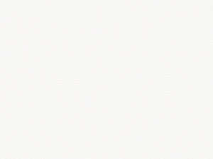 COLORISTICA 2541-12 Портьерная ткань  Тюль  LaVita