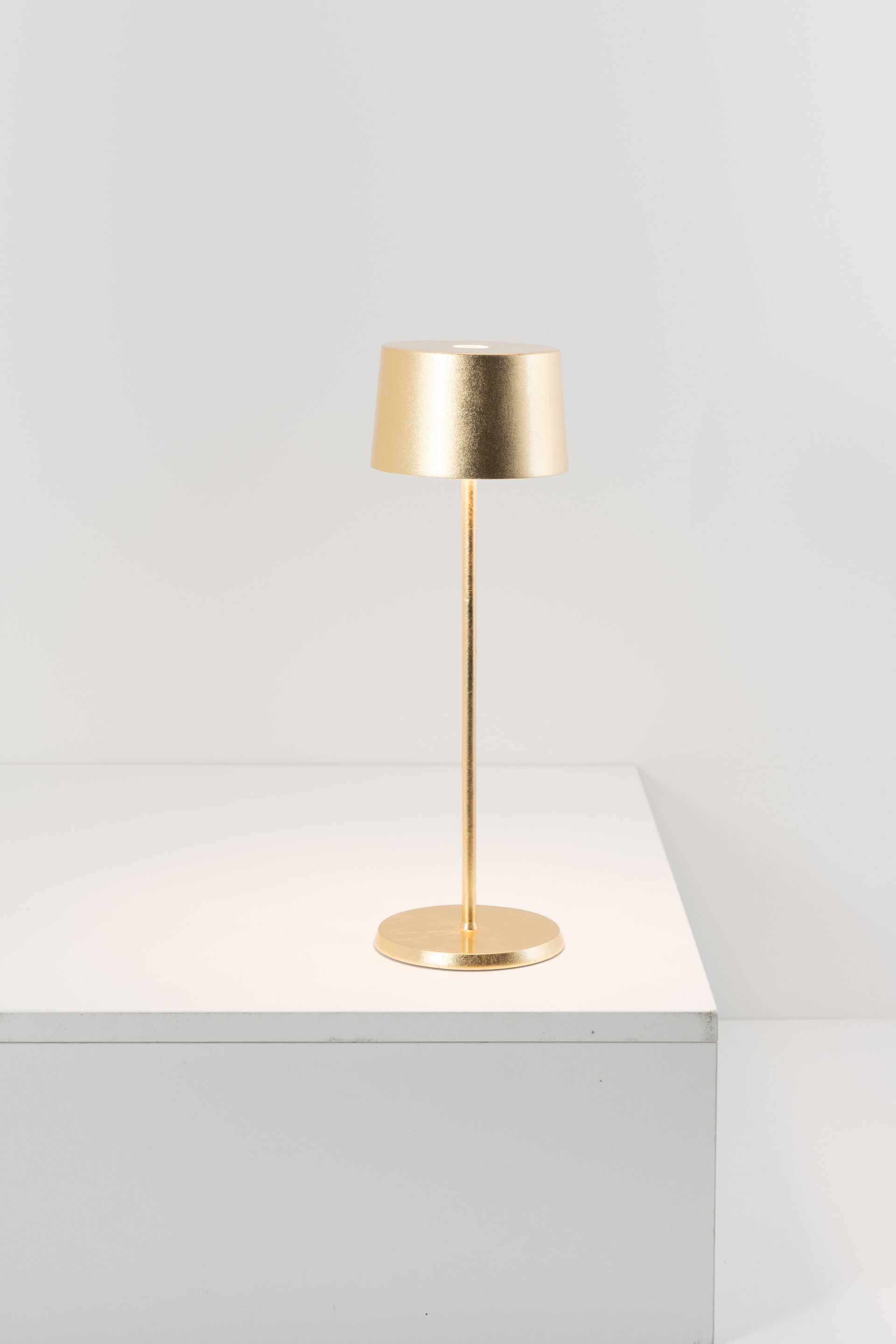 Аккумуляторная настольная лампа Zafferano Olivia ARCH-00116692 - Вид №12