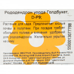 82601847 Рододендрон Уорда «Голдбукетт» 9x20 см