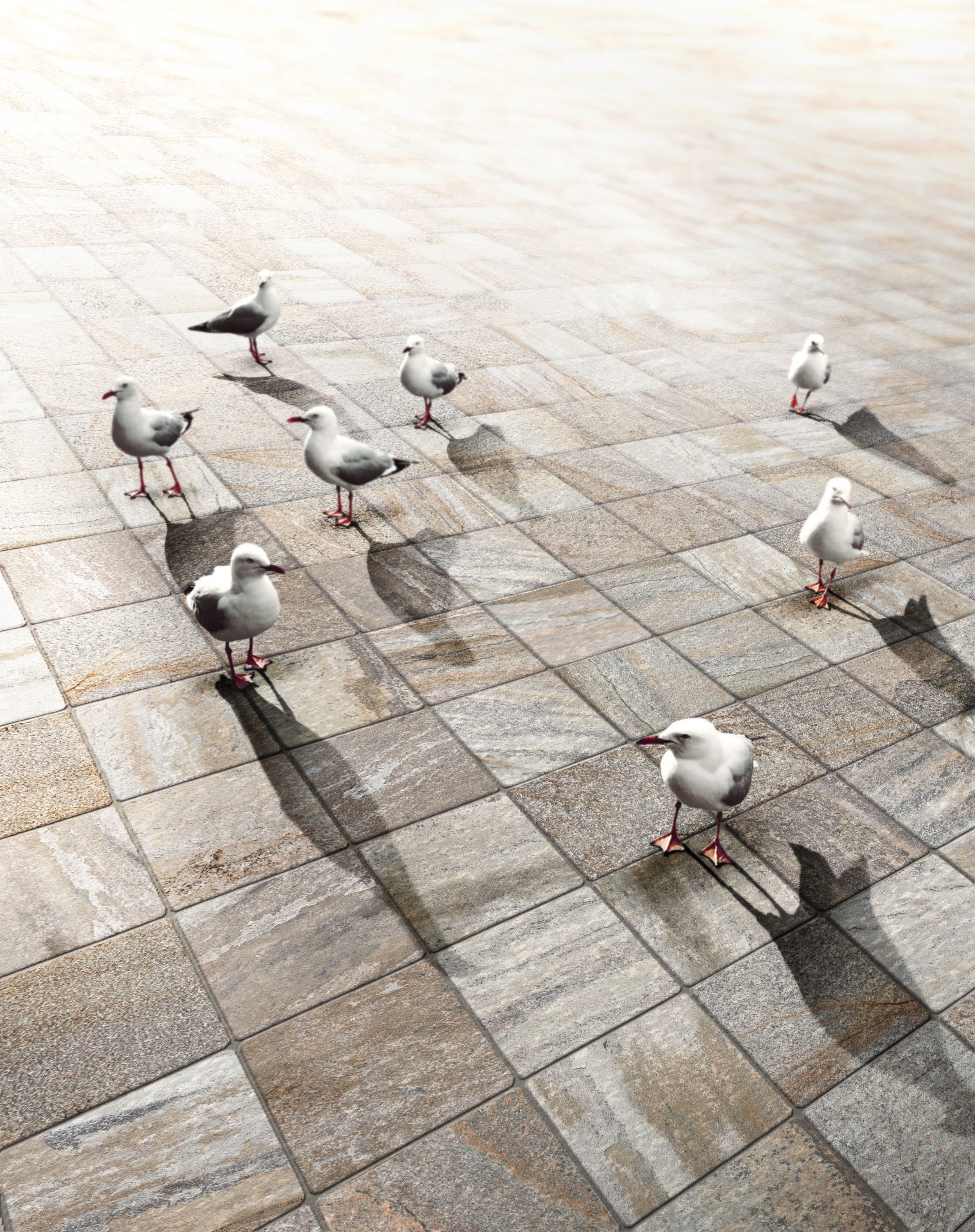 Напольная плитка из керамогранита Imola TRAIL ARCH-00020253 - Вид №1