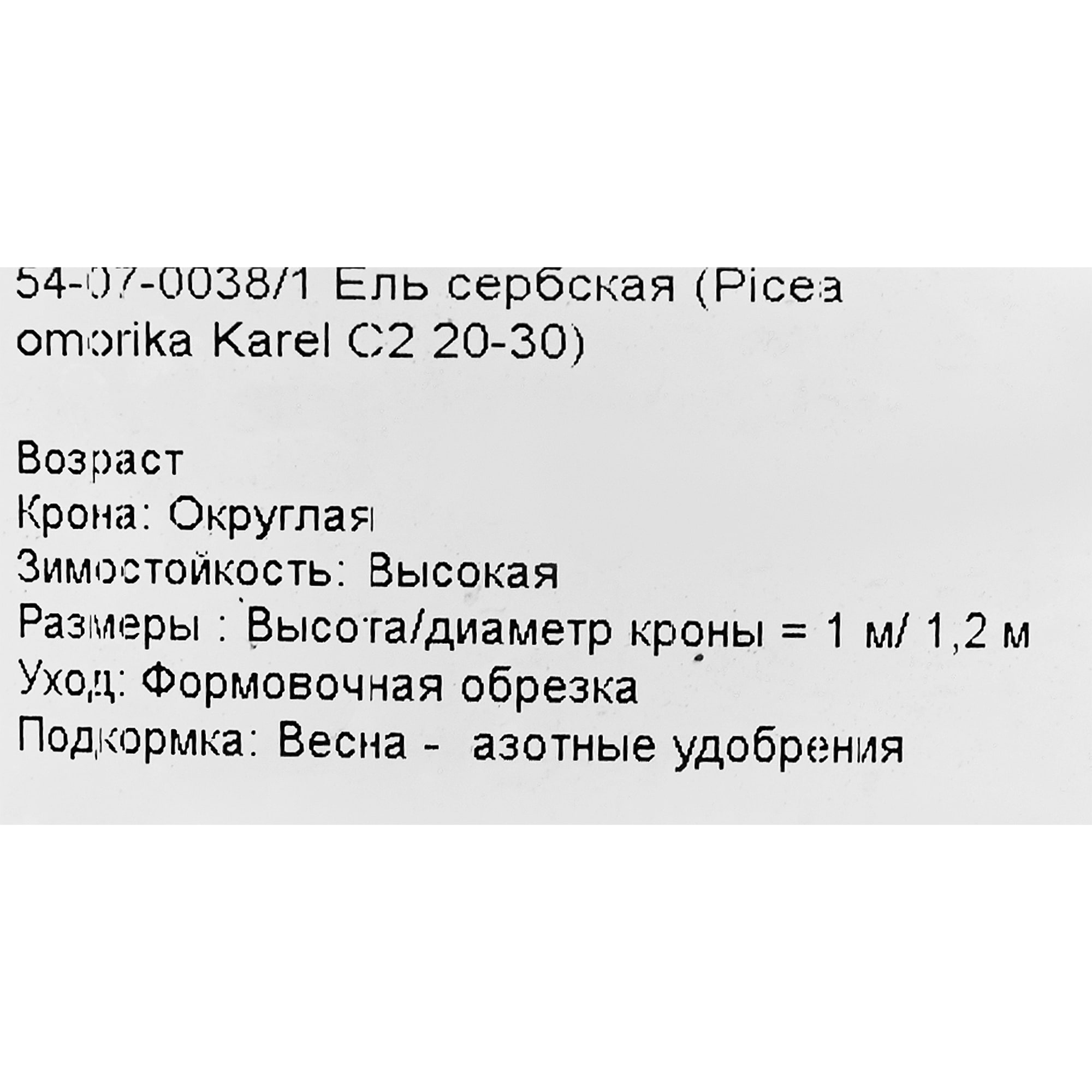 18470254 Ель серебристая «Карел», С2/20-30 см Santreyd  - Вид №1