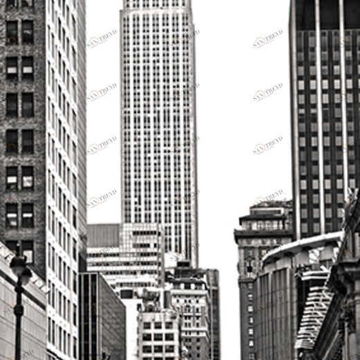 C1-293 Фотообои DIVINO Collection C 2.7х1 м C1293